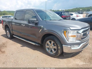 FORD FORD F-150 XLT