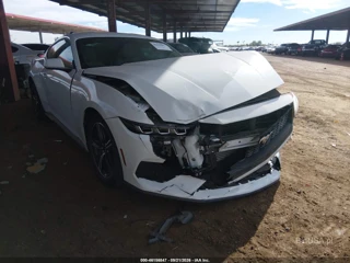 FORD FORD MUSTANG ECOBOOST FASTBACK