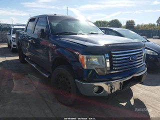FORD FORD F-150 XLT