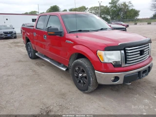 FORD FORD F-150 XLT