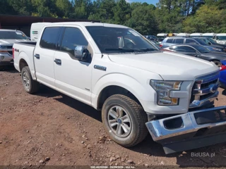 FORD FORD F-150 XLT