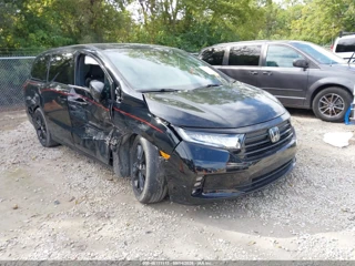 HONDA HONDA ODYSSEY SPORT