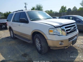 FORD FORD EXPEDITION XLT/KING RANCH