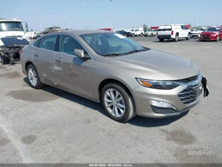 CHEVROLET CHEVROLET MALIBU FWD LT