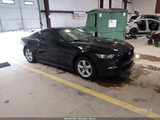 FORD FORD MUSTANG V6