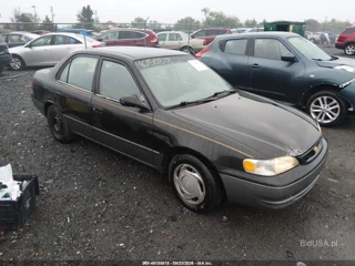 TOYOTA TOYOTA COROLLA LE