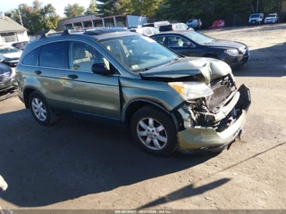 HONDA HONDA CR-V EX