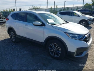 HONDA HONDA CR-V AWD EX-L