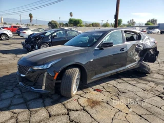 CADILLAC CT5 LUXURY