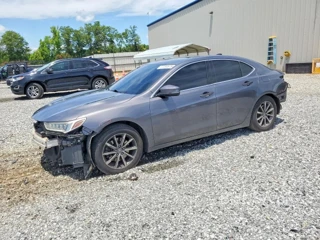 ACURA TLX