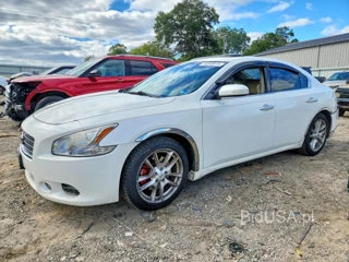 NISSAN MAXIMA 3.5 S