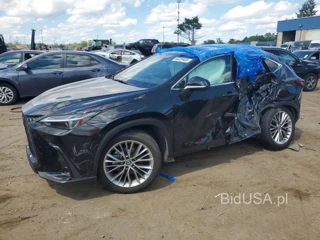 LEXUS NX 350H LUXURY