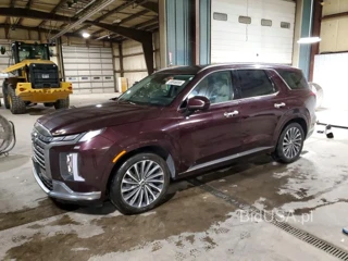 HYUNDAI PALISADE CALLIGRAPHY