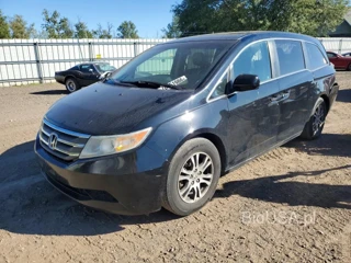 HONDA ODYSSEY EXL