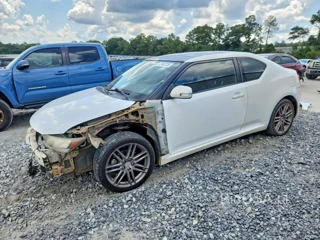 SCION TC BASE