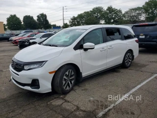 HONDA ODYSSEY EXL