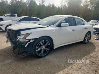 NISSAN MAXIMA S/SV