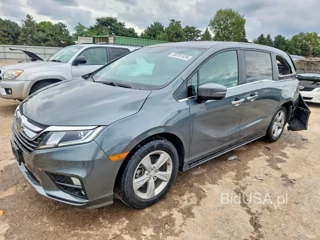 HONDA ODYSSEY EXL