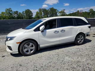 HONDA ODYSSEY EXL