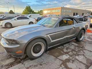 FORD MUSTANG