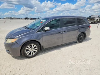 HONDA ODYSSEY EXL