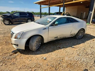 CADILLAC CTS PERFORMANCE COLLECTION