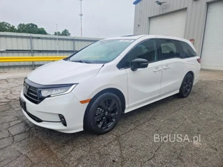 HONDA ODYSSEY SPORT