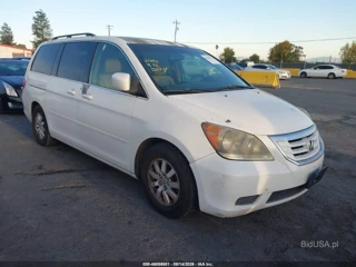 HONDA HONDA ODYSSEY EX-L