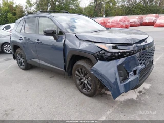 TOYOTA TOYOTA RAV4 XLE PREMIUM