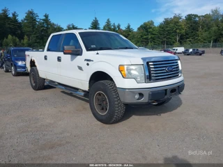 FORD FORD F-150 FX4/HARLEY-DAVIDSON/KING RANCH/LARIAT/PLATINUM/XL/XLT