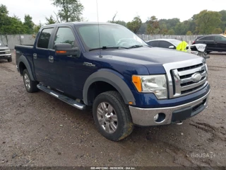 FORD FORD F-150 XLT