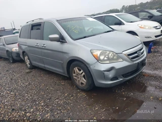 HONDA HONDA ODYSSEY EX-L