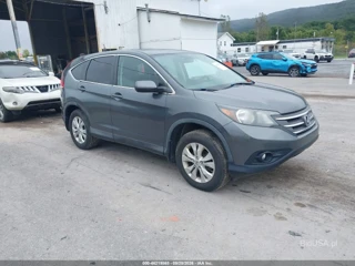 HONDA HONDA CR-V EX