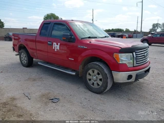 FORD FORD F-150 XLT