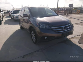 HONDA HONDA CR-V EX