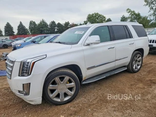 CADILLAC ESCALADE LUXURY
