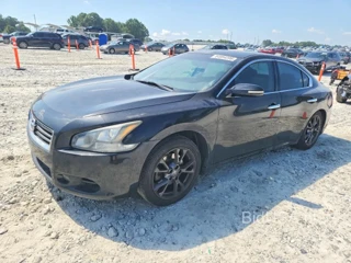 NISSAN MAXIMA 3.5 S