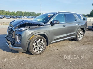 HYUNDAI PALISADE CALLIGRAPHY