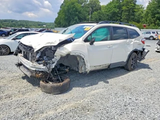 SUBARU ASCENT LIMITED