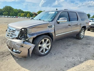 CADILLAC ESCALADE ESV LUXURY