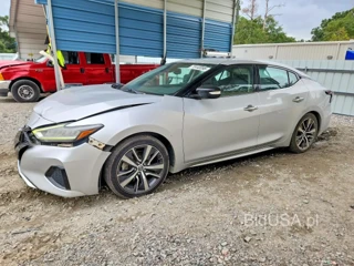 NISSAN MAXIMA SV