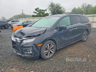 HONDA ODYSSEY ELITE