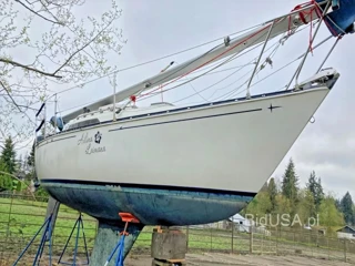 SAIL BOAT BOAT