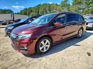 HONDA ODYSSEY EXL