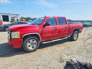 CHEVROLET SILVERADO K1500 LT