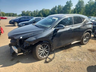 LEXUS NX 450H LUXURY
