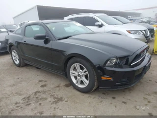 FORD FORD MUSTANG V6