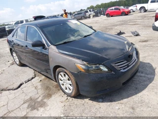 TOYOTA TOYOTA CAMRY HYBRID