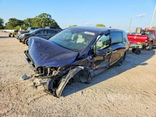 HONDA ODYSSEY ELITE