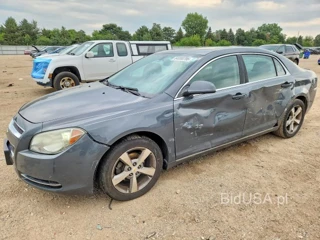 CHEVROLET MALIBU 2LT